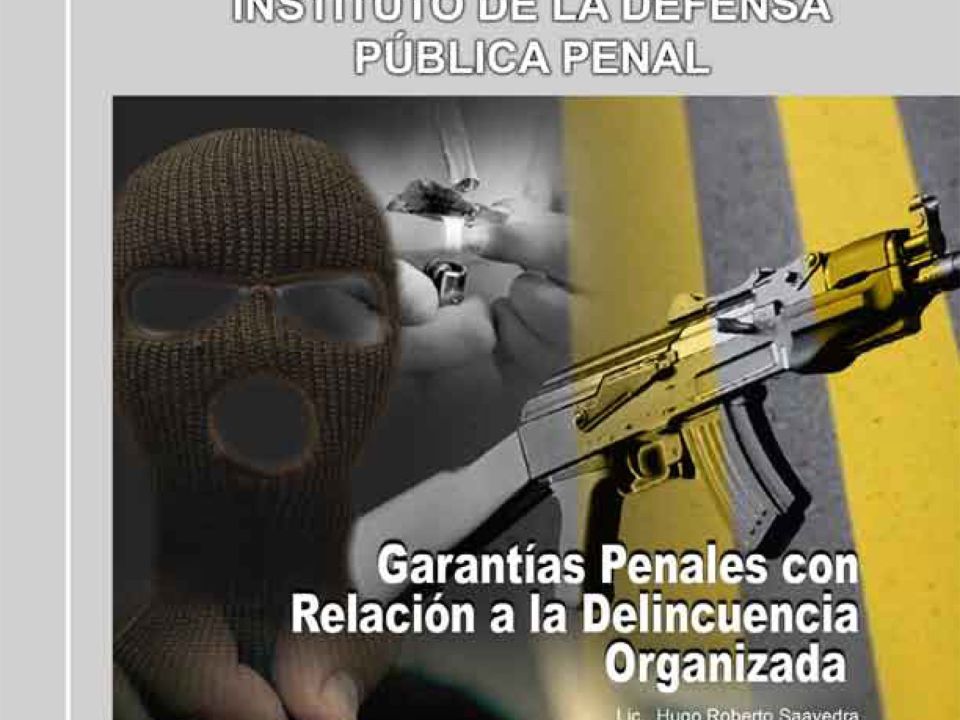 Relación a La Delincuencia Organizada