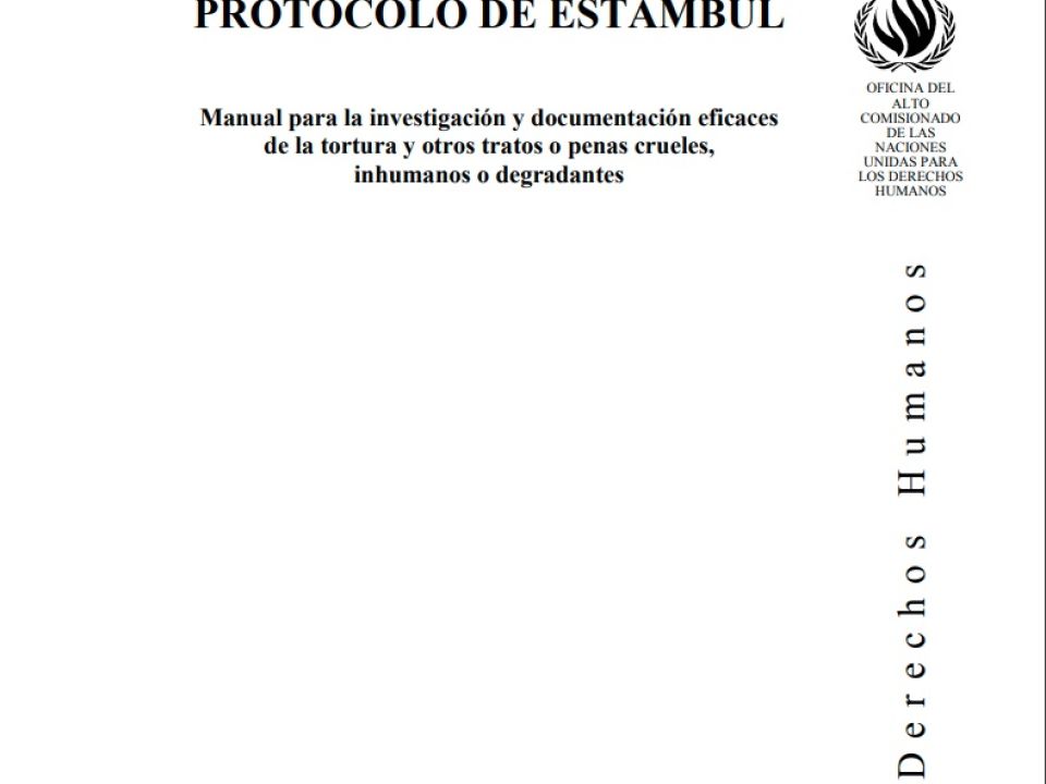 Protocolo De Estambul